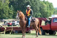 2009 Show Picture