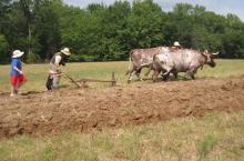 2010 Show Picture