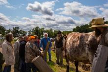 2015 Show Picture