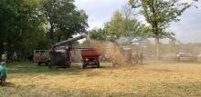 Threshers building a straw pile quickly