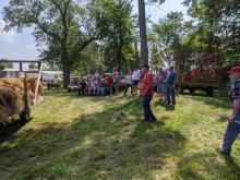 Large crowd admiring the steam engines threshing