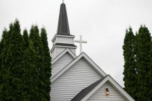 2025 Buildings & Animals