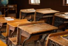 2025 Buildings & Animals