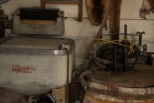 2025 Buildings & Animals