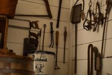 2025 Buildings & Animals