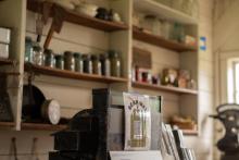 2025 Buildings & Animals