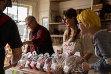 2025 Buildings & Animals