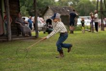 2025 Buildings & Animals