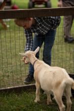 2025 Buildings & Animals