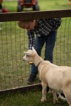 2025 Buildings & Animals