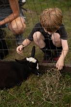 2025 Buildings & Animals